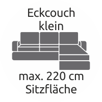 Eckcouch klein Polsterreinigung